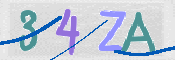 CAPTCHA 驗證圖片