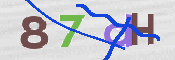 CAPTCHA 驗證圖片
