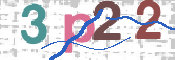CAPTCHA 驗證圖片