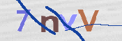 CAPTCHA 驗證圖片