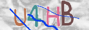 CAPTCHA 驗證圖片