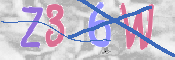 CAPTCHA 驗證圖片