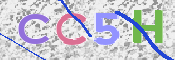 CAPTCHA 驗證圖片