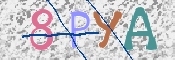 CAPTCHA 驗證圖片