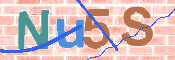 CAPTCHA 驗證圖片