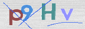 CAPTCHA 驗證圖片