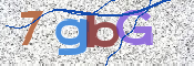 CAPTCHA 驗證圖片
