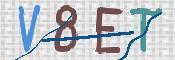 CAPTCHA 驗證圖片
