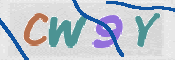 CAPTCHA 驗證圖片