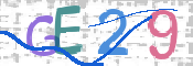 CAPTCHA 驗證圖片