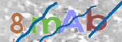 CAPTCHA 驗證圖片