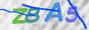 CAPTCHA 驗證圖片