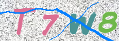 CAPTCHA 驗證圖片