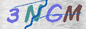 CAPTCHA 驗證圖片
