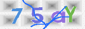 CAPTCHA 驗證圖片