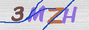 CAPTCHA 驗證圖片