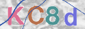 CAPTCHA 驗證圖片