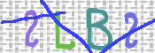 CAPTCHA 驗證圖片