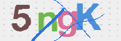 CAPTCHA 驗證圖片