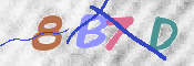 CAPTCHA 驗證圖片