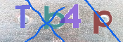CAPTCHA 驗證圖片
