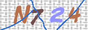 CAPTCHA 驗證圖片