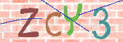 CAPTCHA 驗證圖片