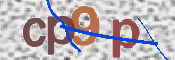 CAPTCHA 驗證圖片