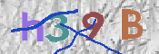 CAPTCHA 驗證圖片