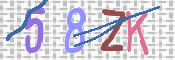 CAPTCHA 驗證圖片