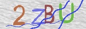 CAPTCHA 驗證圖片