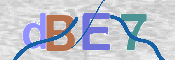 CAPTCHA 驗證圖片