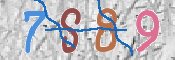 CAPTCHA 驗證圖片
