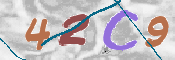 CAPTCHA 驗證圖片