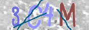 CAPTCHA 驗證圖片