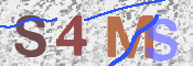 CAPTCHA 驗證圖片