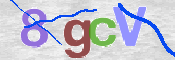 CAPTCHA 驗證圖片