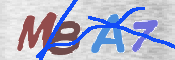 CAPTCHA 驗證圖片
