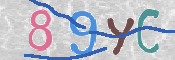 CAPTCHA 驗證圖片