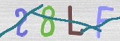 CAPTCHA 驗證圖片