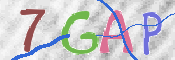 CAPTCHA 驗證圖片