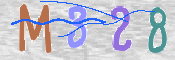 CAPTCHA 驗證圖片