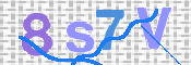 CAPTCHA 驗證圖片