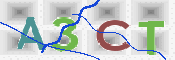 CAPTCHA 驗證圖片