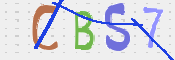 CAPTCHA 驗證圖片