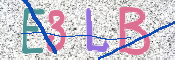 CAPTCHA 驗證圖片