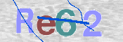 CAPTCHA 驗證圖片