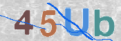 CAPTCHA 驗證圖片