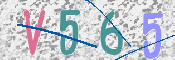 CAPTCHA 驗證圖片