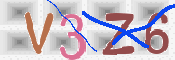 CAPTCHA 驗證圖片